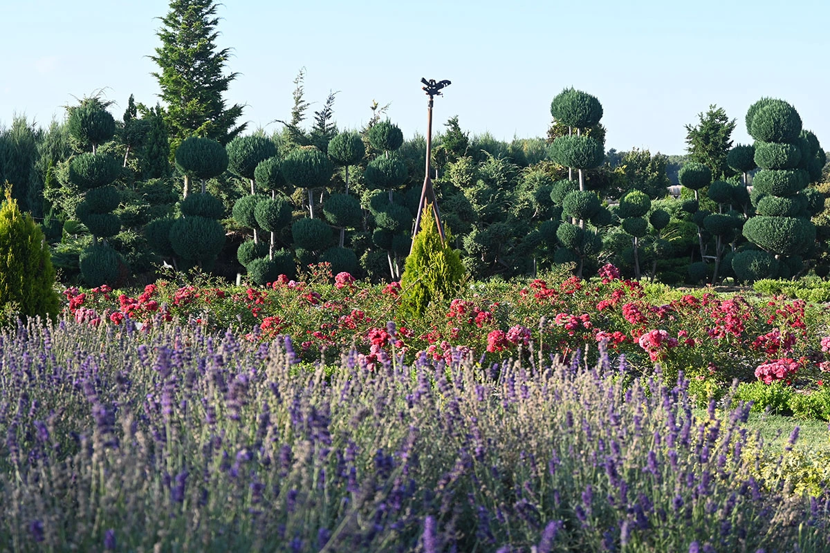 Centrum Hortiterapii - Ogrody Zmysłów