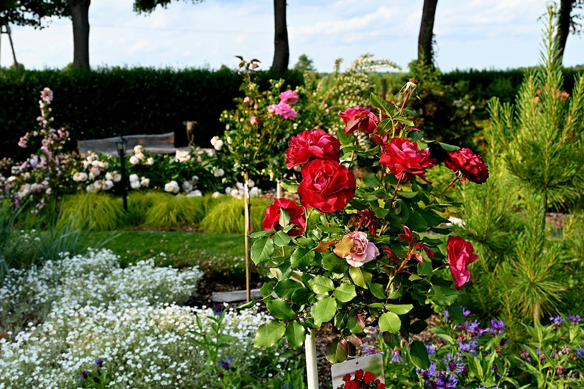 Centrum Hortiterapii - Ogrody Zmysłów