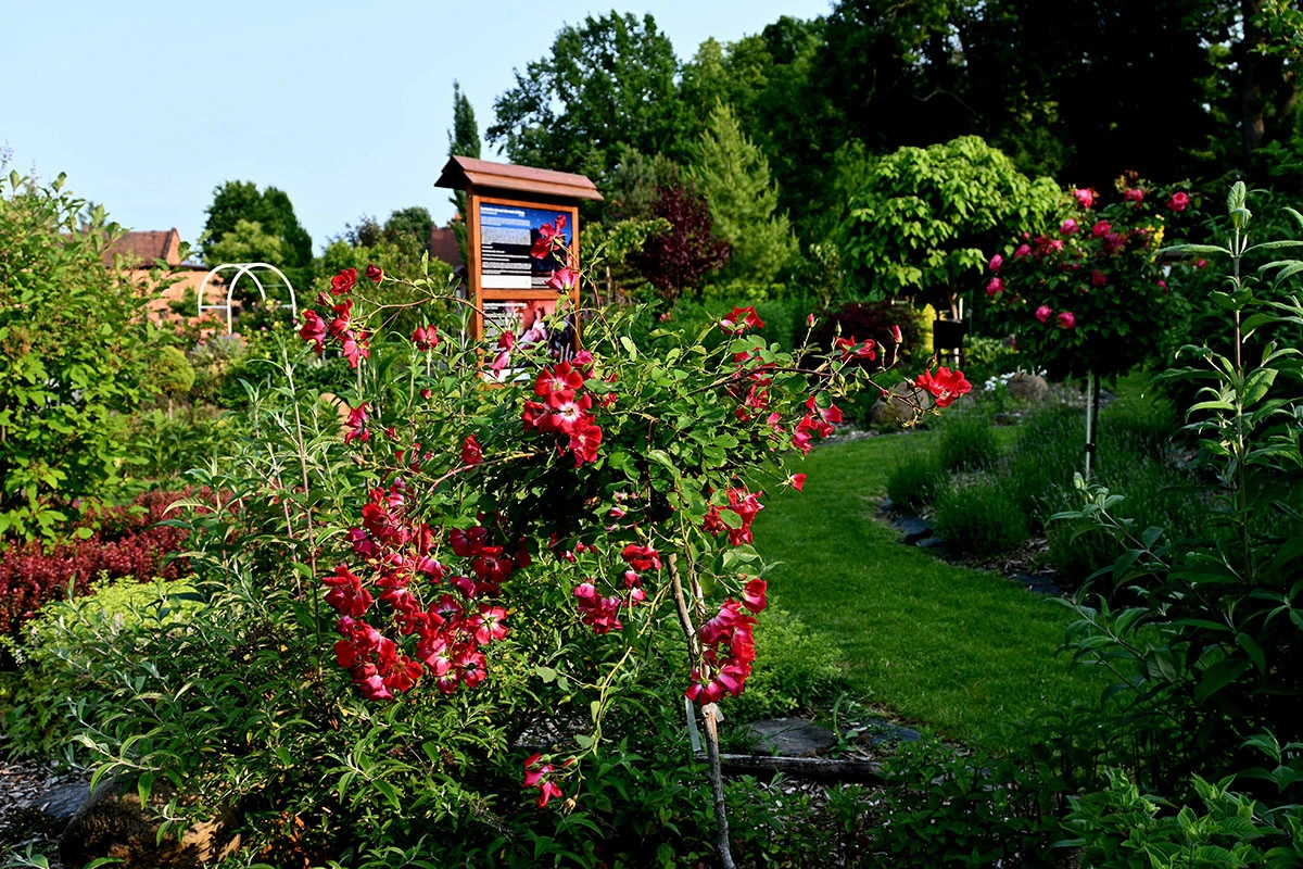 Centrum Hortiterapii - Ogrody Zmysłów