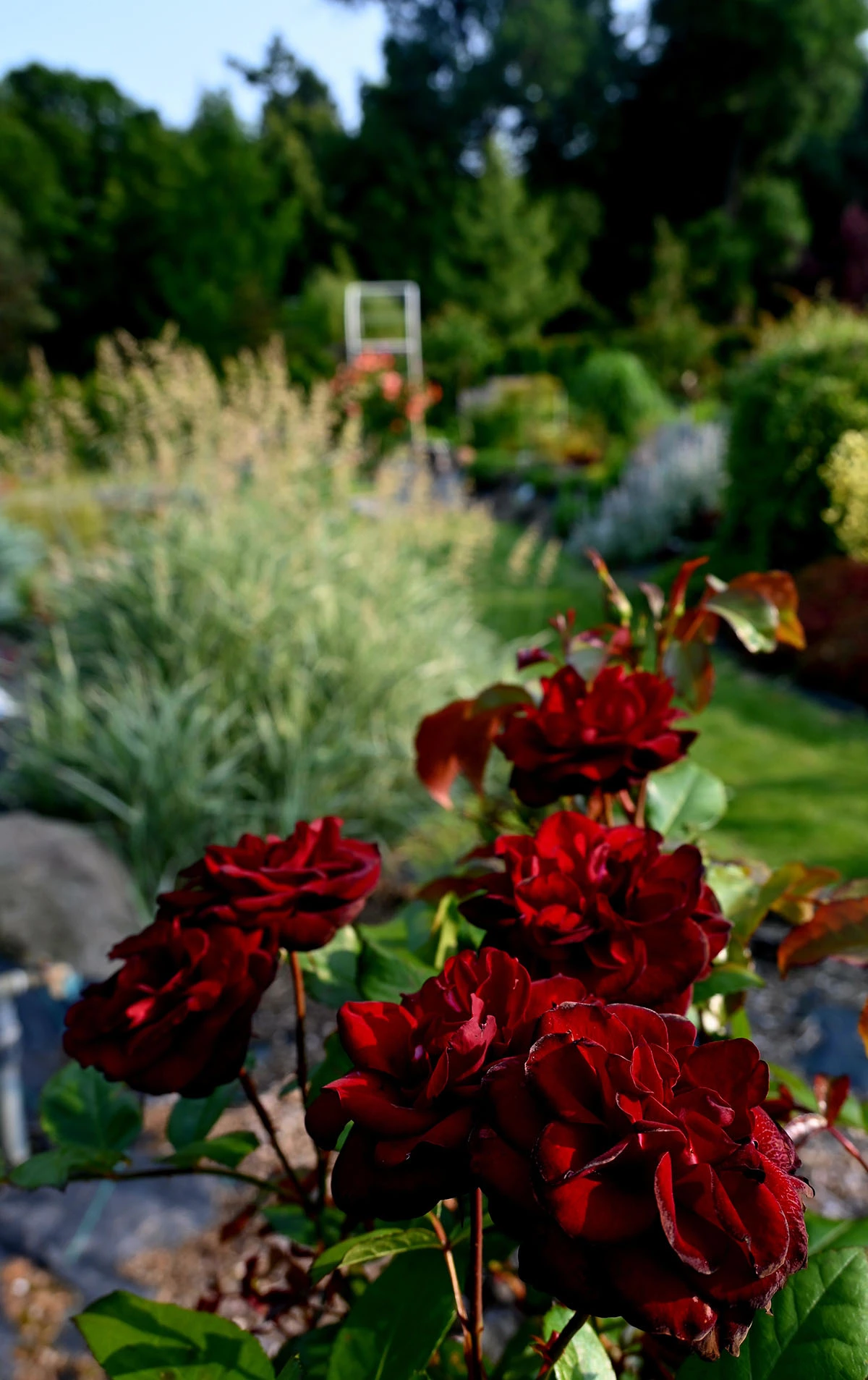 Centrum Hortiterapii - Ogrody Zmysłów