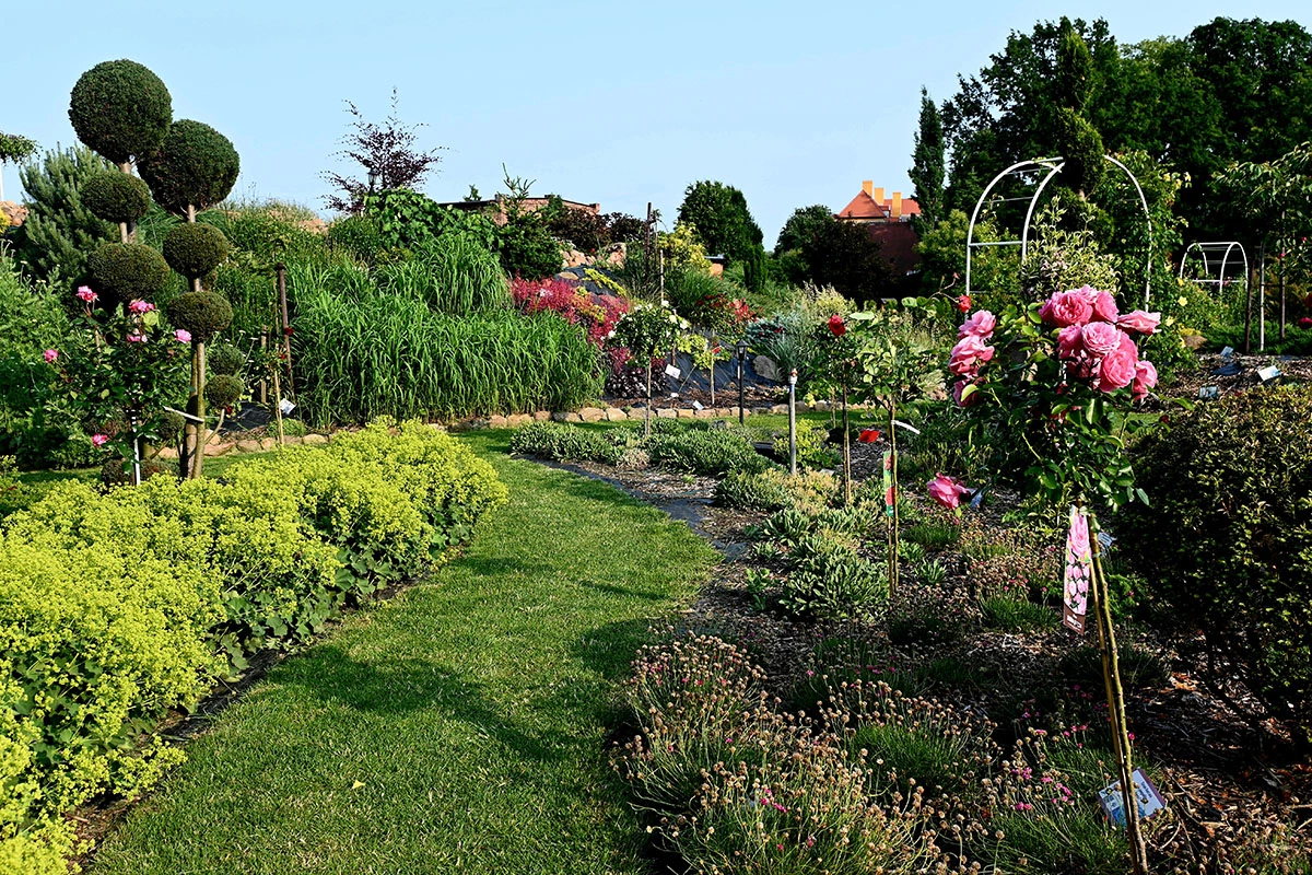 Centrum Hortiterapii - Ogrody Zmysłów