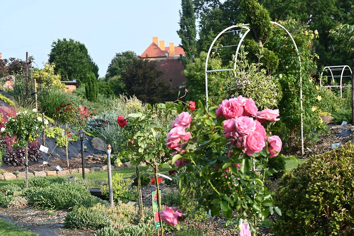 Centrum Hortiterapii - Ogrody Zmysłów