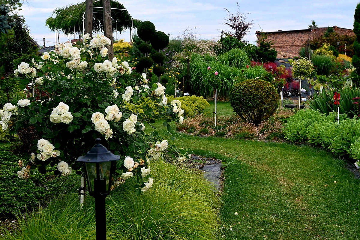 Centrum Hortiterapii - Ogrody Zmysłów