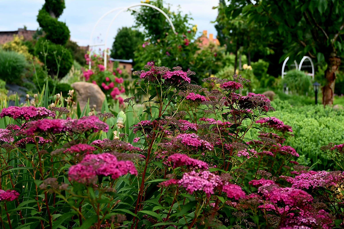Centrum Hortiterapii - Ogrody Zmysłów