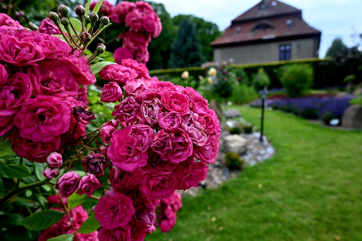 Centrum Hortiterapii - Ogrody Zmysłów