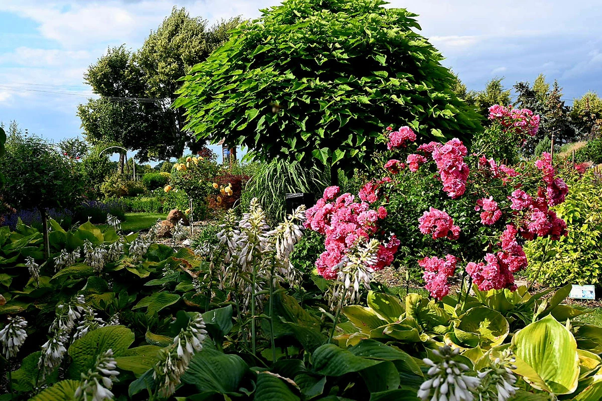 Centrum Hortiterapii - Ogrody Zmysłów