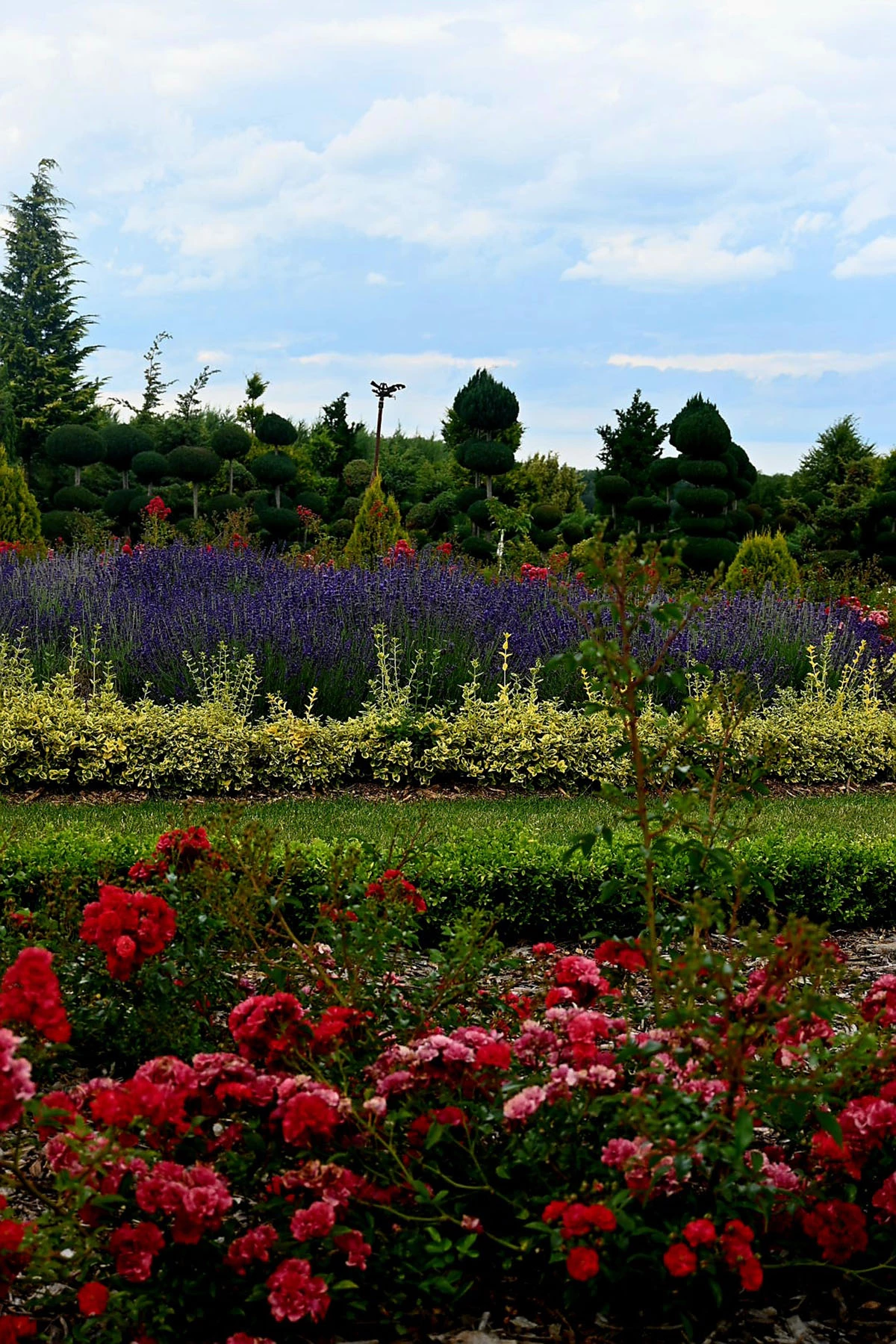 Centrum Hortiterapii - Ogrody Zmysłów