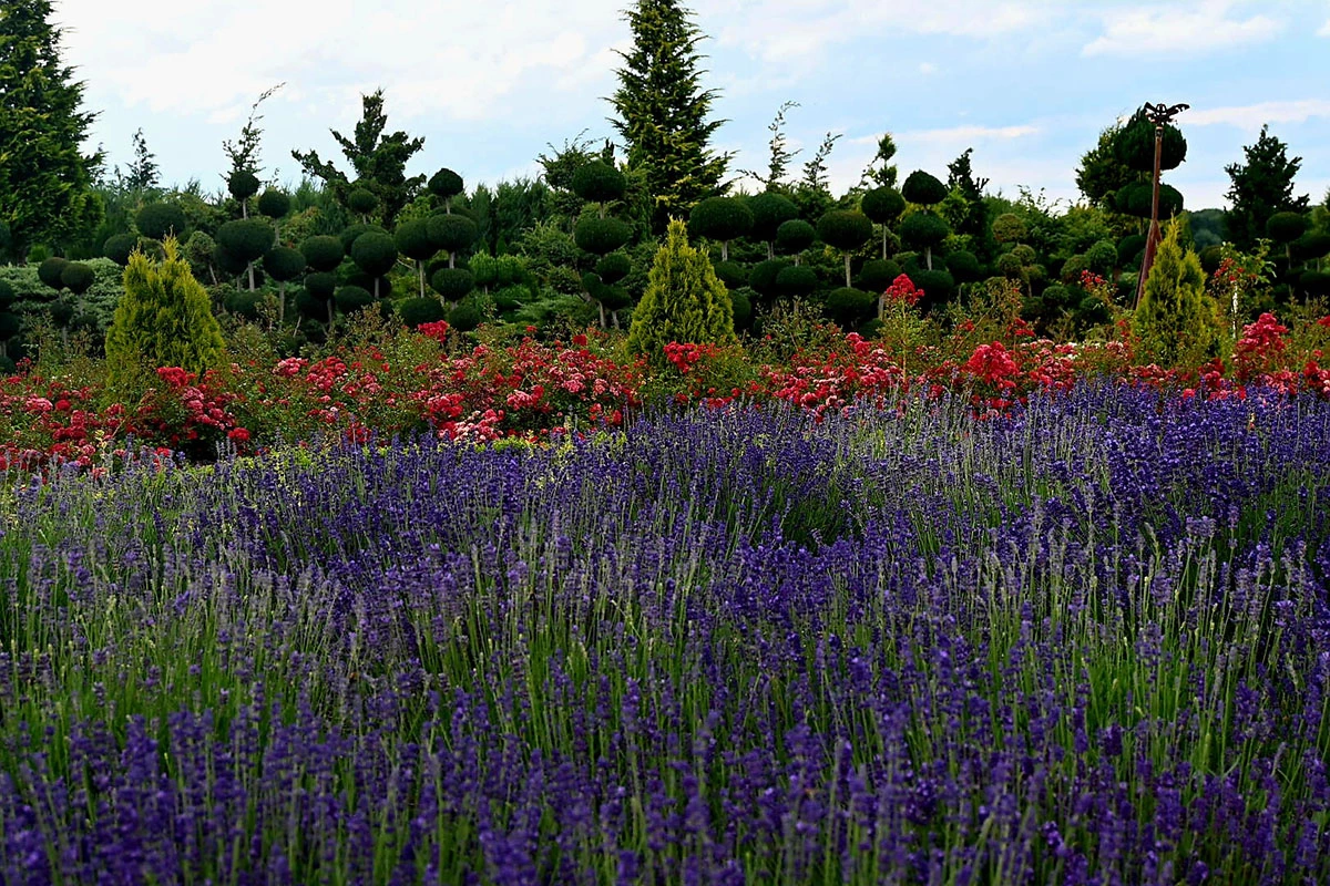 Centrum Hortiterapii - Ogrody Zmysłów