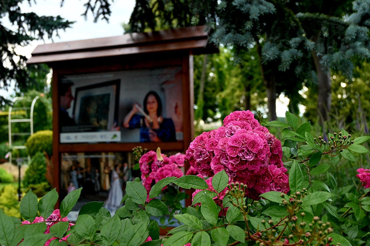 Centrum Hortiterapii - Ogrody Zmysłów