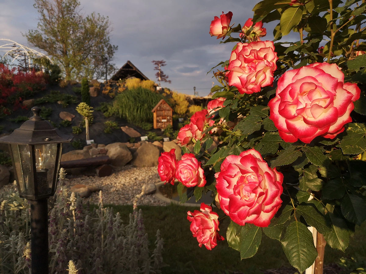 Centrum Hortiterapii - Ogrody Zmysłów