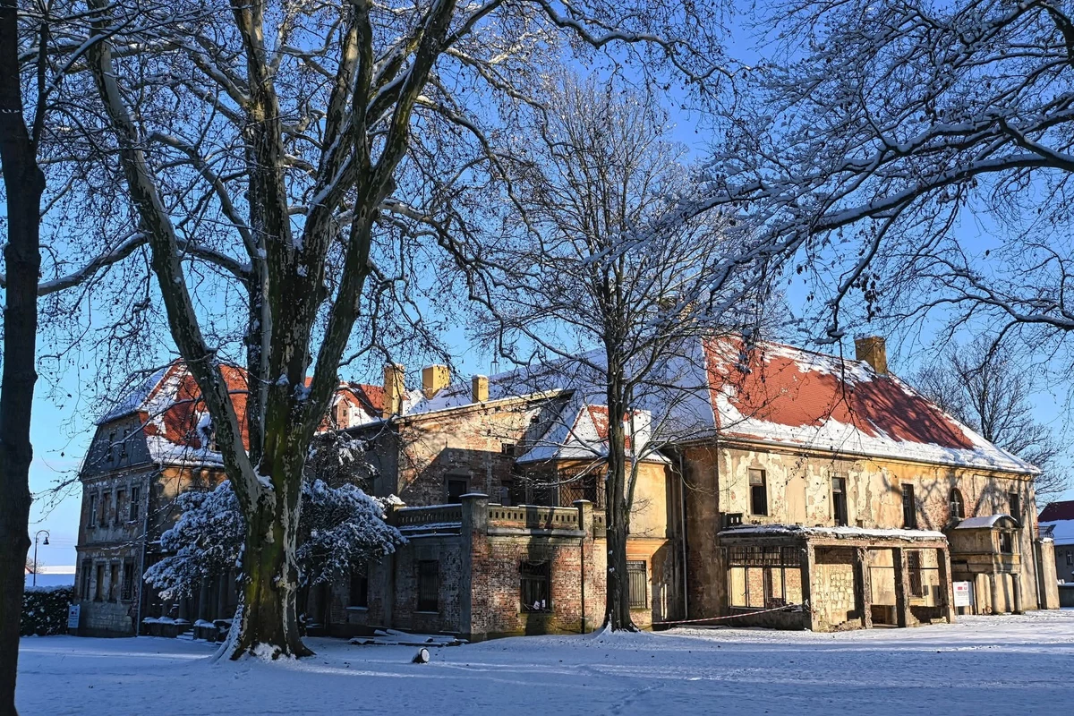Pałac w Dalkowie w zimowej scenerii
