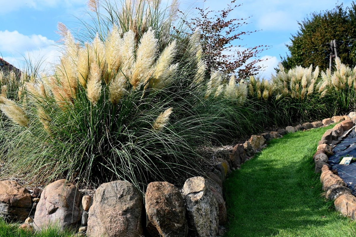 Wygląd Centrum Hortiterapii w październiku