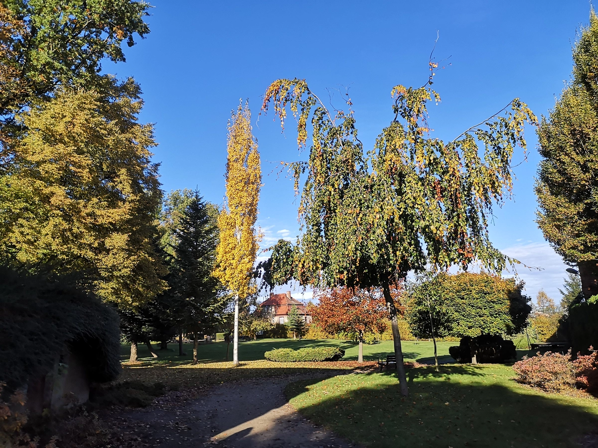Wygląd Centrum Hortiterapii w październiku