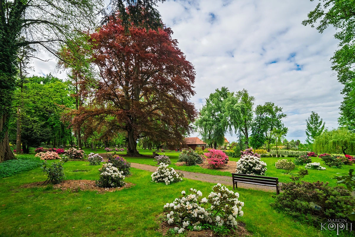 Widoki z parku w Dalkowie.