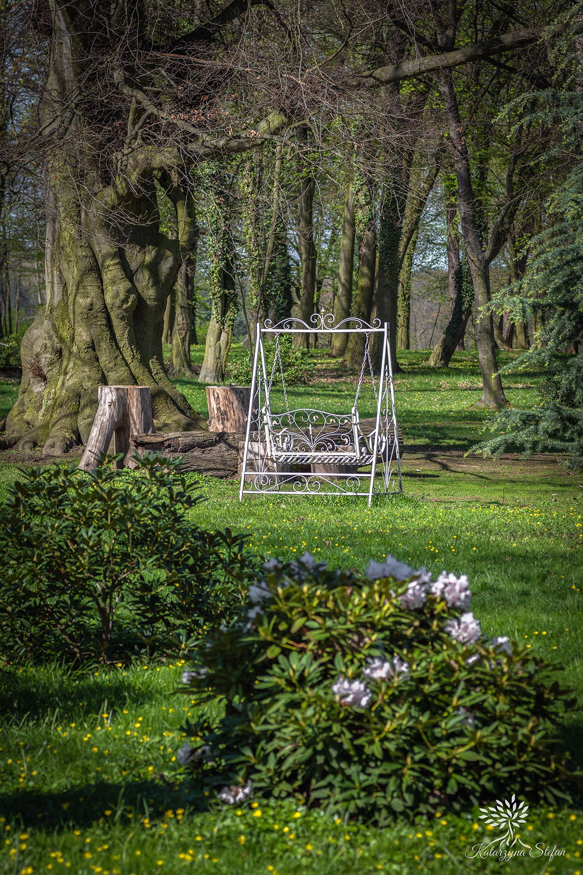 Widoki z parku w Dalkowie.