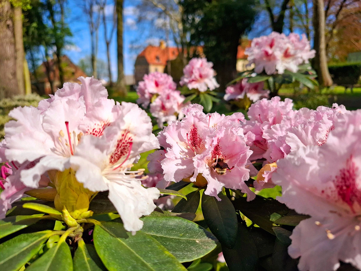 Widoki z parku w Dalkowie.