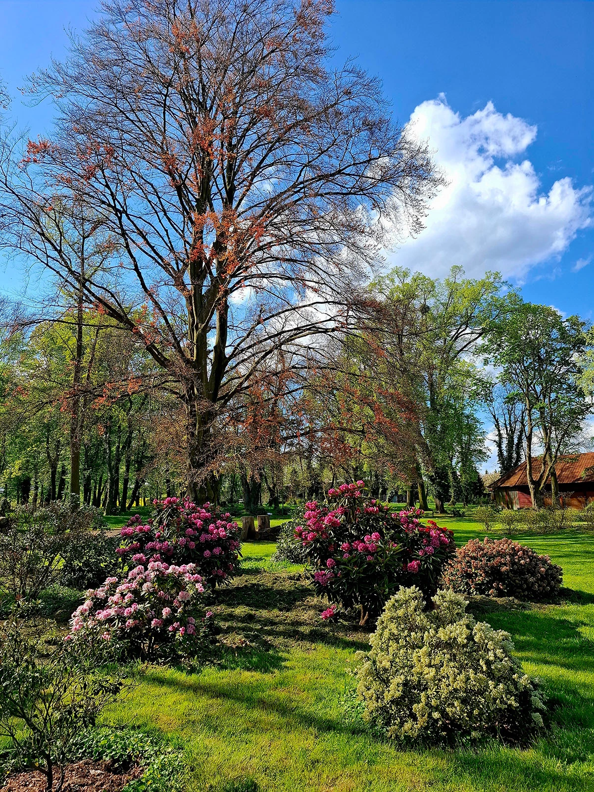 Widoki z parku w Dalkowie.