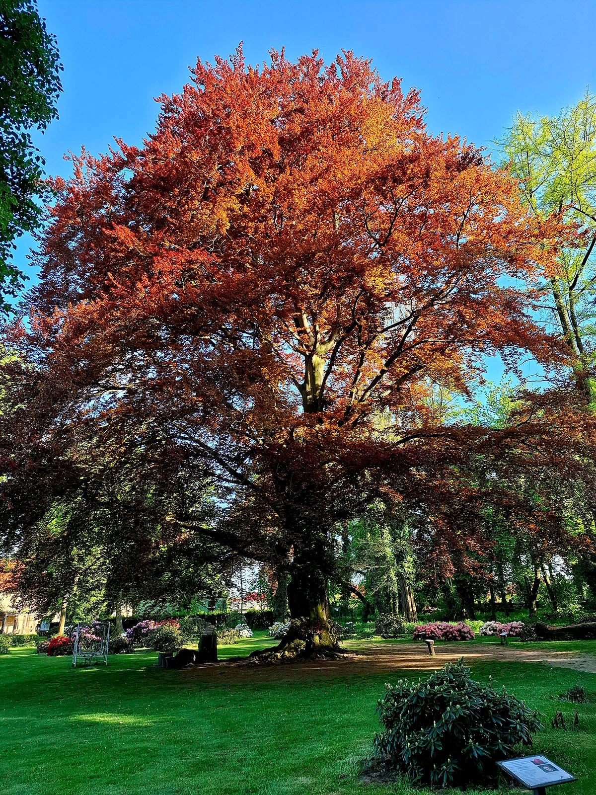 Widoki z parku w Dalkowie.