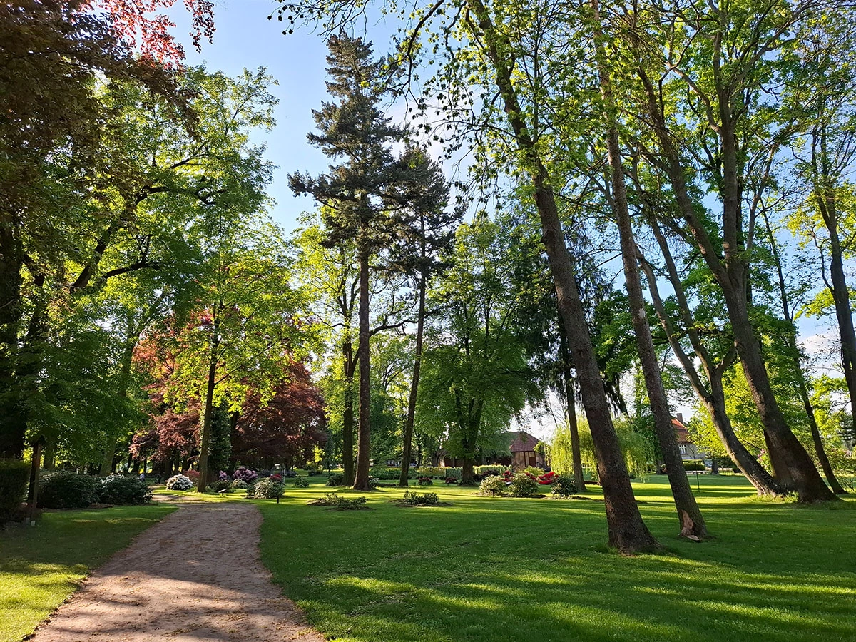 Widoki z parku w Dalkowie.