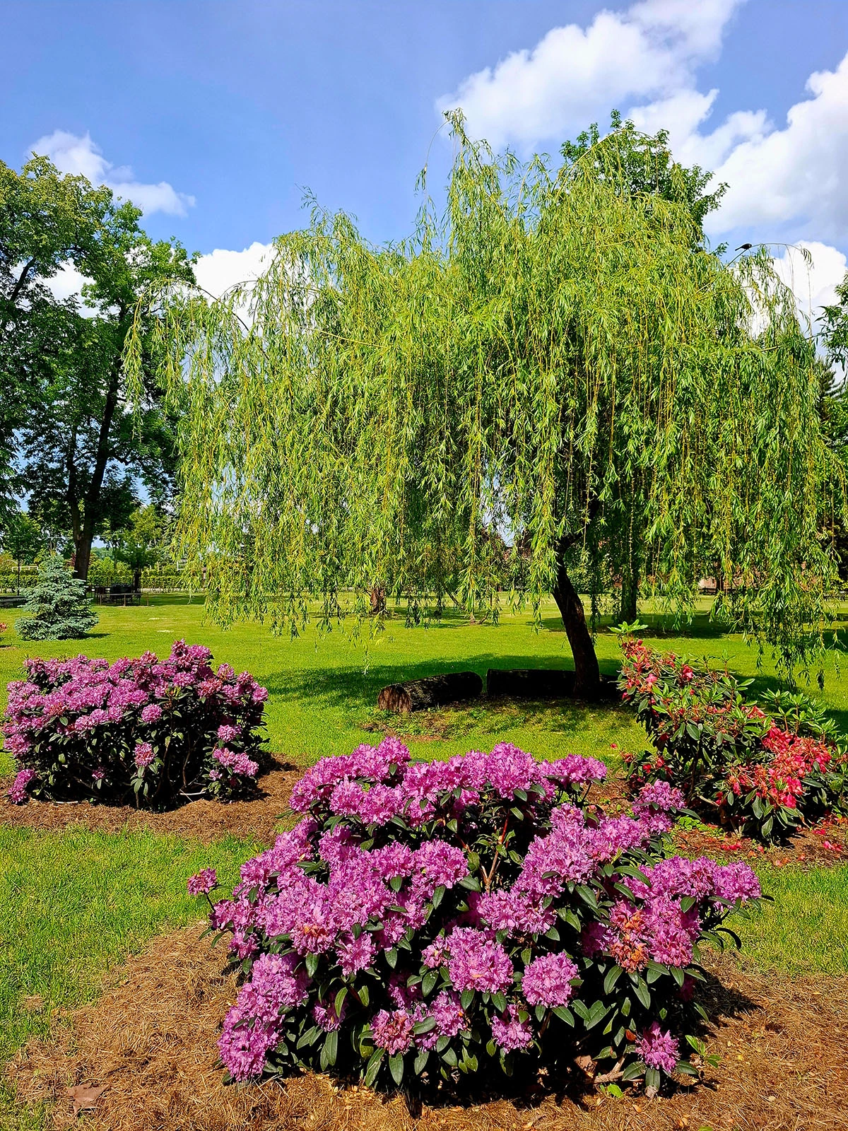 Widoki z parku w Dalkowie.