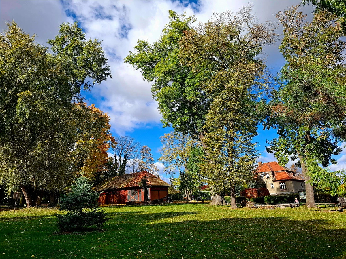Widoki z parku w Dalkowie.