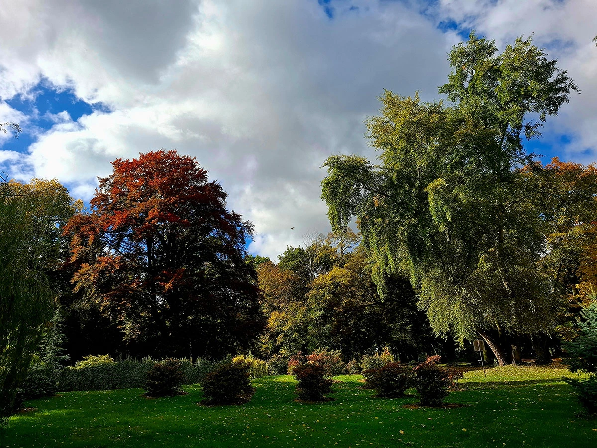 Widoki z parku w Dalkowie.