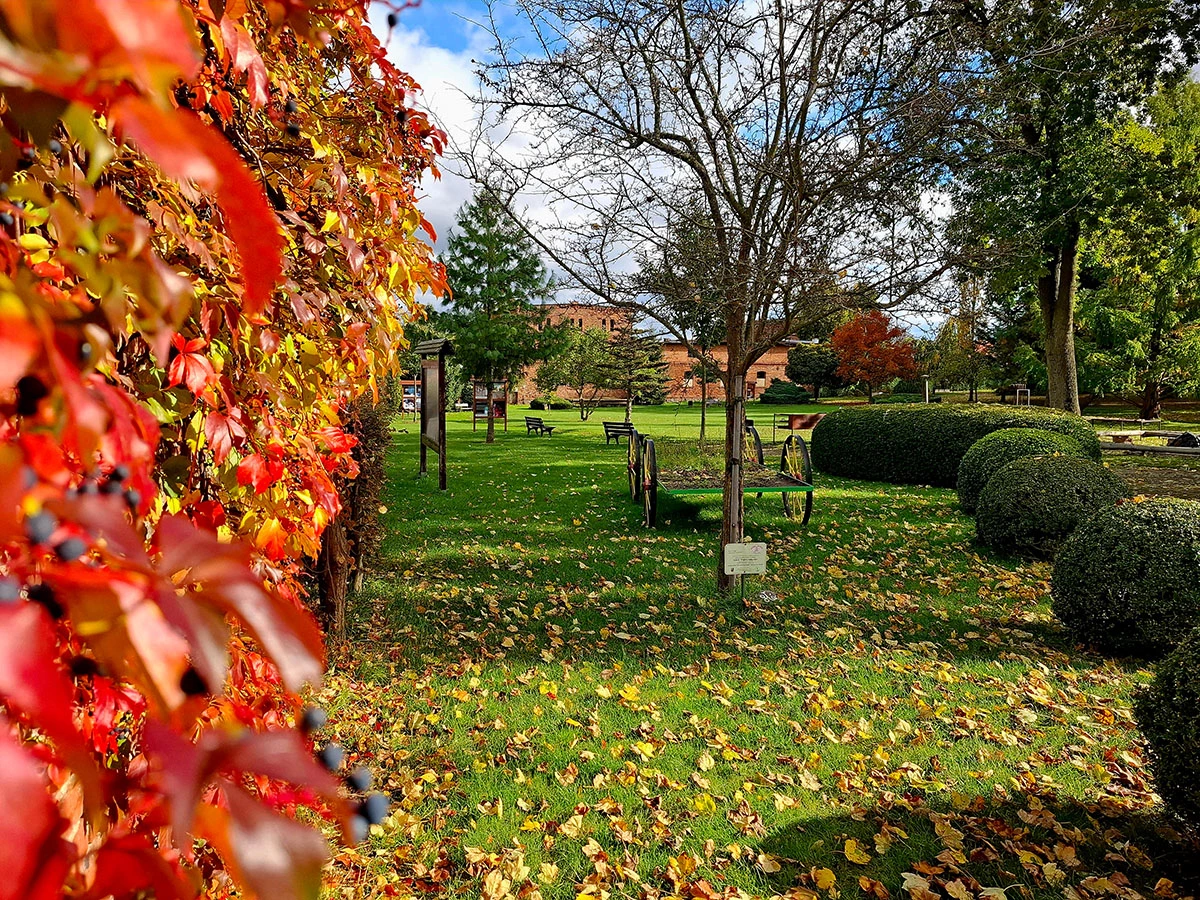 Widoki z parku w Dalkowie.