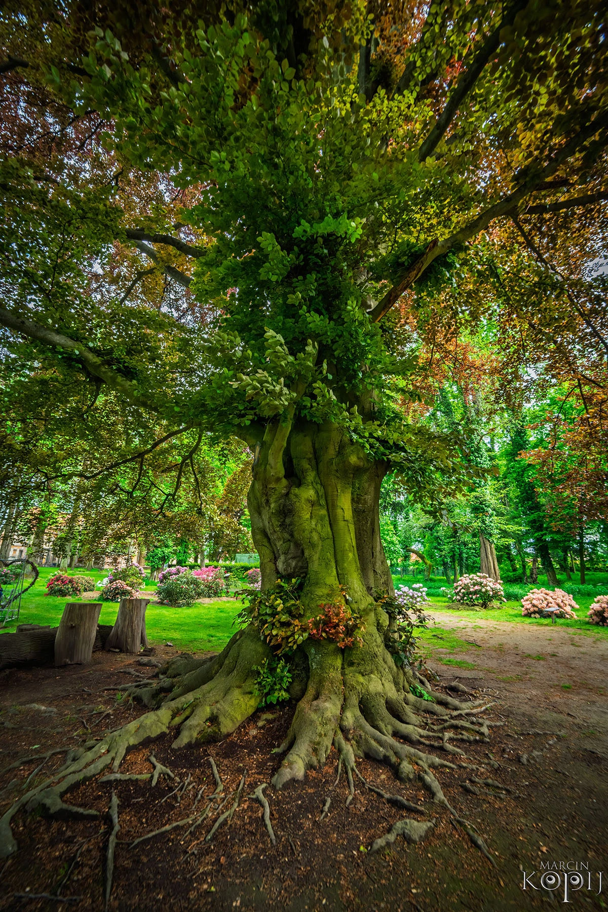 Widoki z parku w Dalkowie.