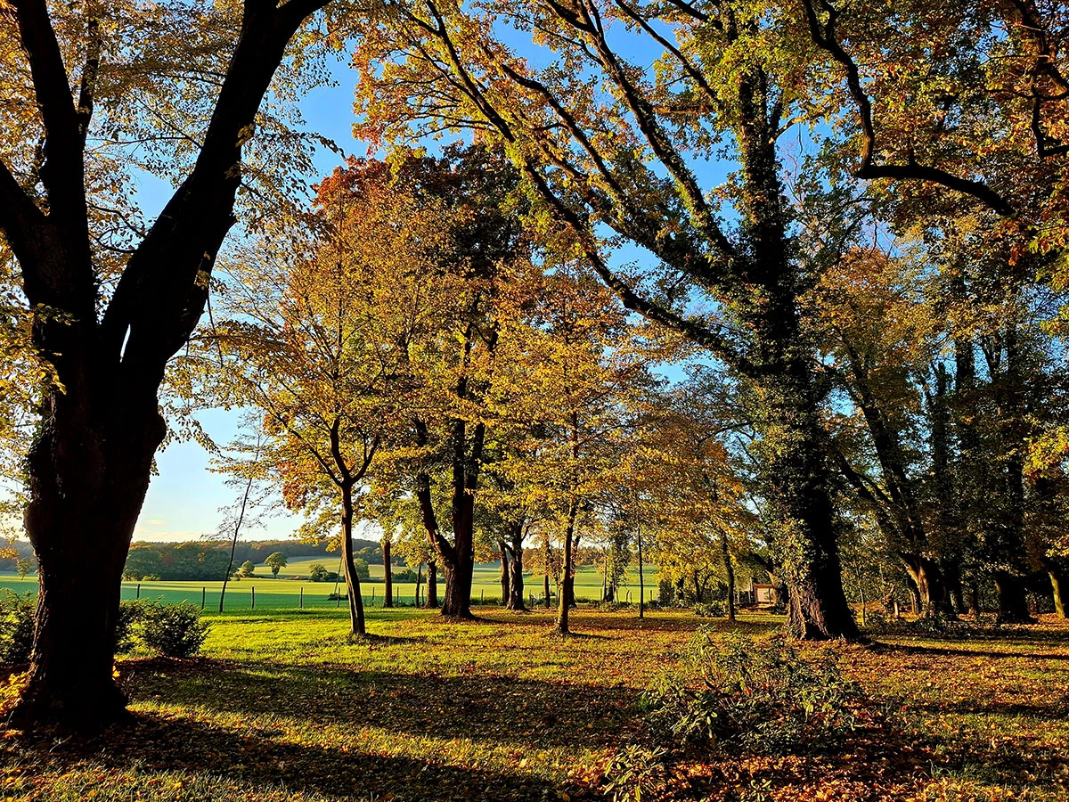 Widoki z parku w Dalkowie.