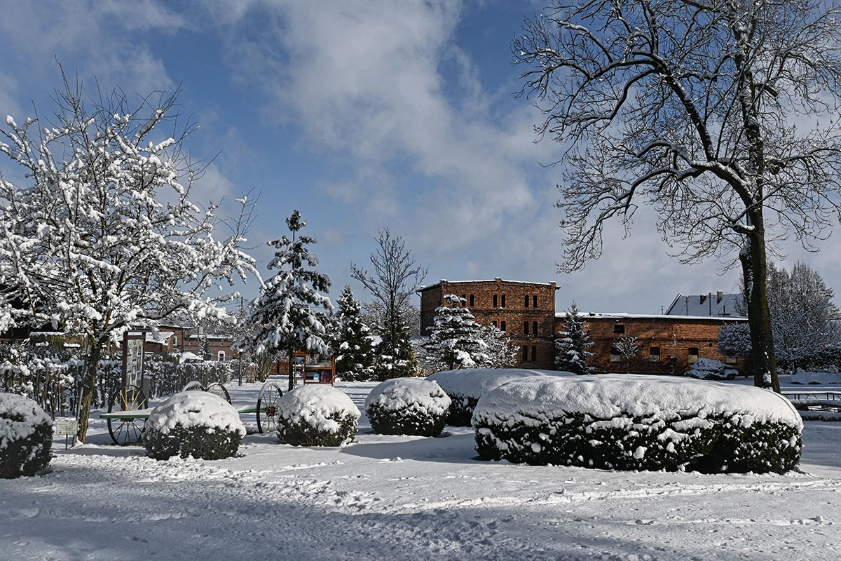Park w Dalkowie w zimowej odsłonie