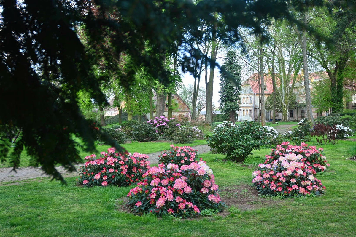 Widoki z parku w Dalkowie.