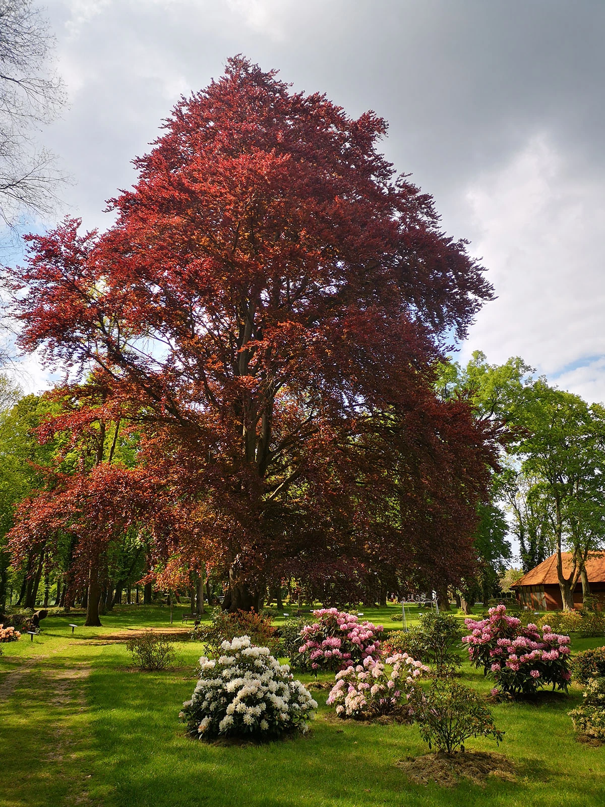 Widoki z parku w Dalkowie.