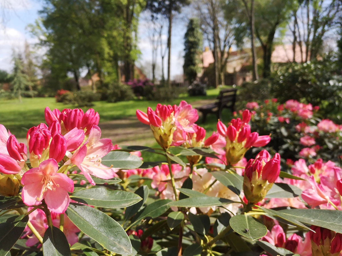 Widoki z parku w Dalkowie.