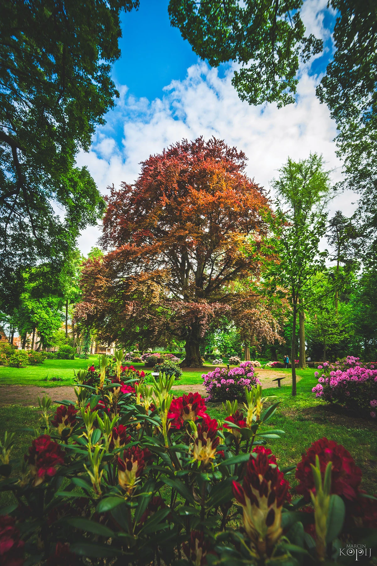 Widoki z parku w Dalkowie.