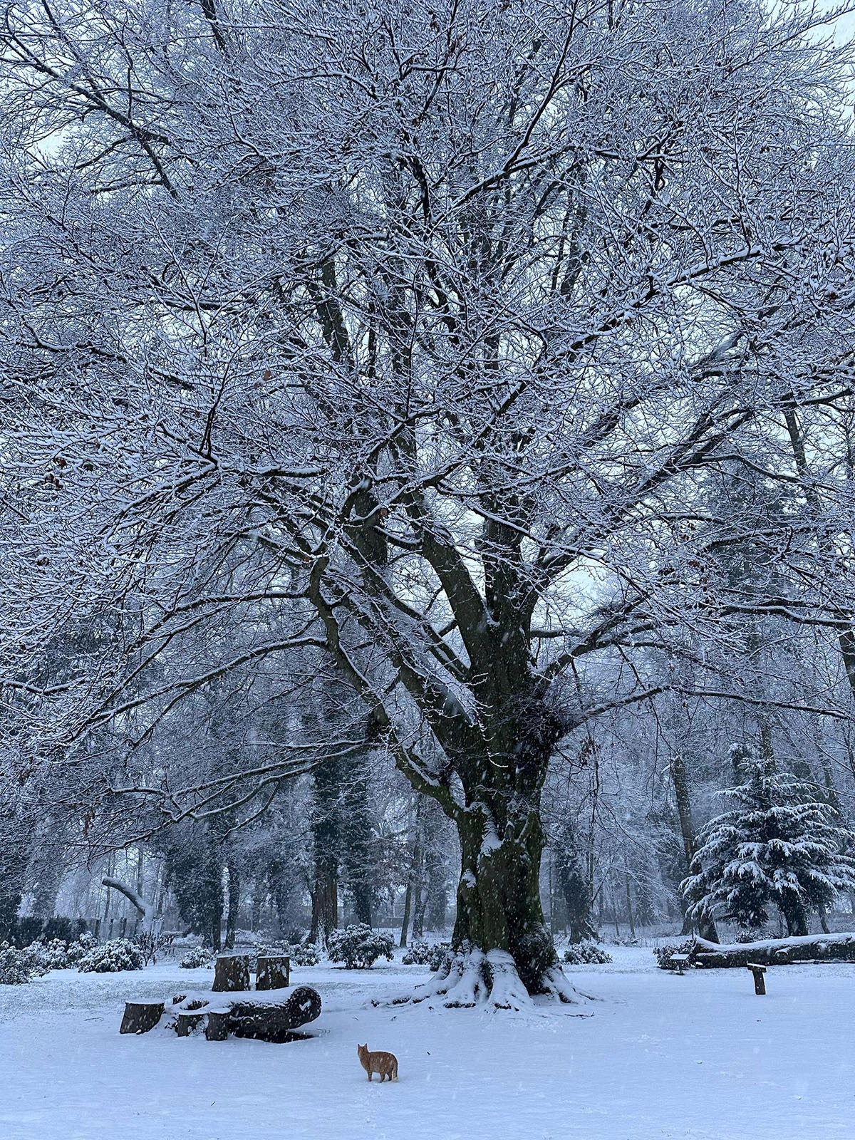 Widoki z parku w Dalkowie.