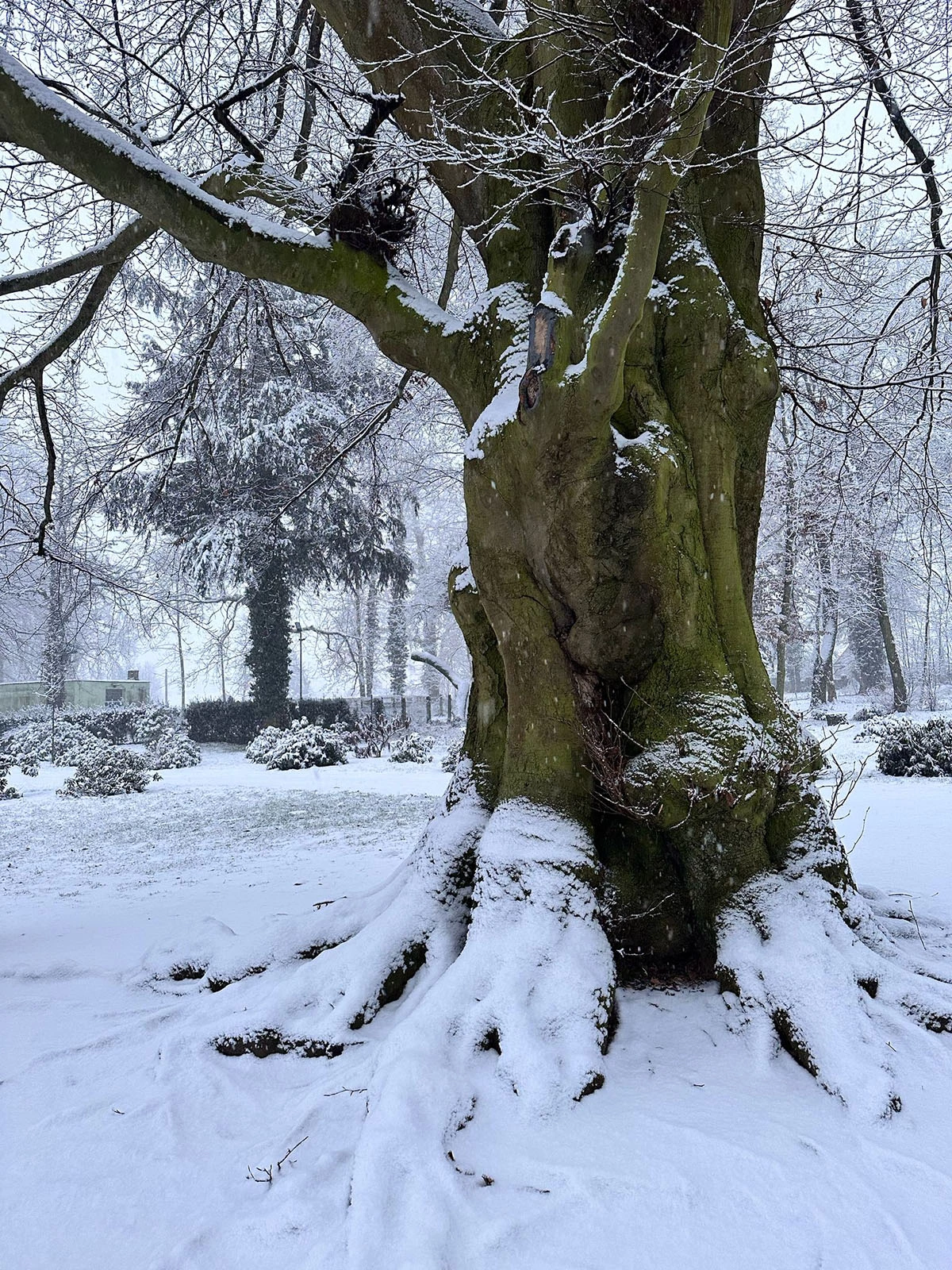 Widoki z parku w Dalkowie.