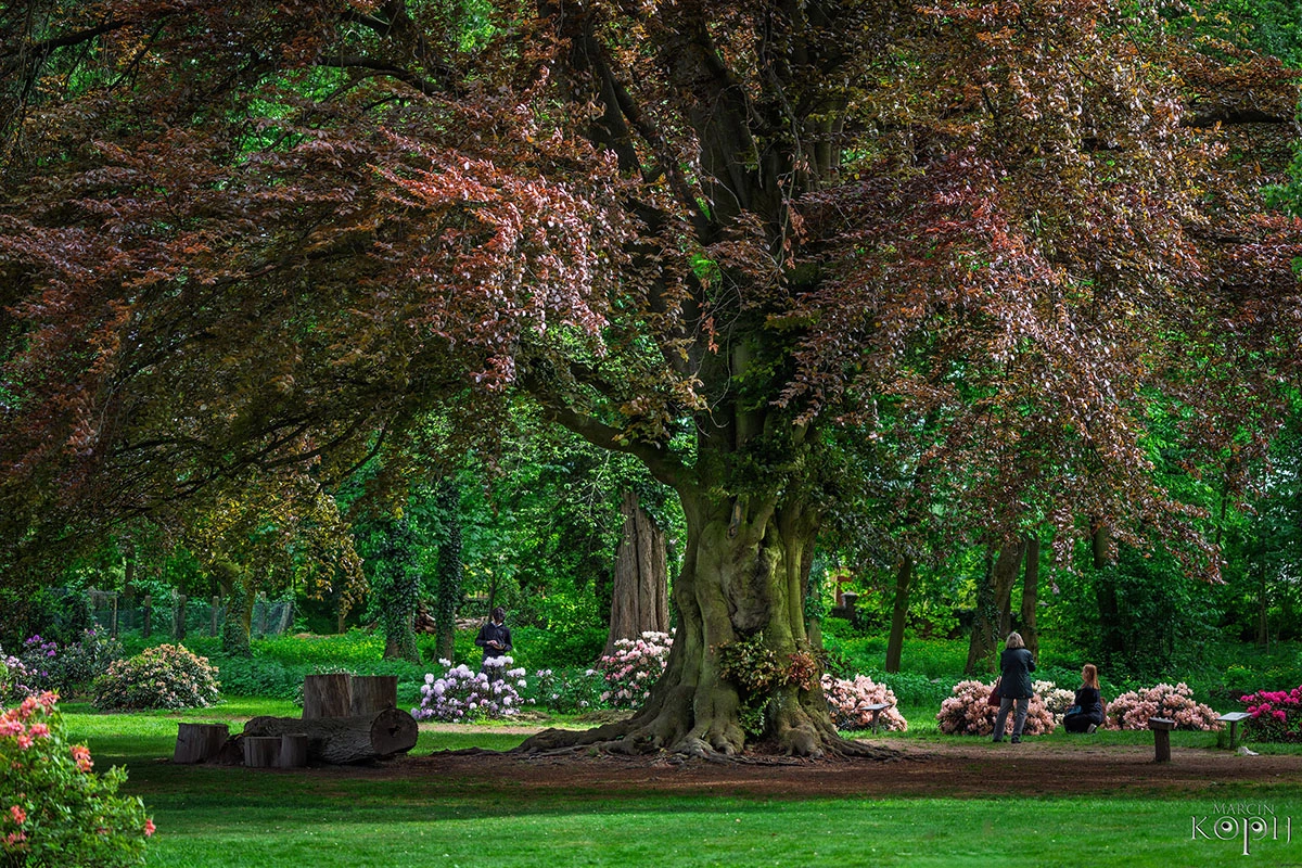 Widoki z parku w Dalkowie.