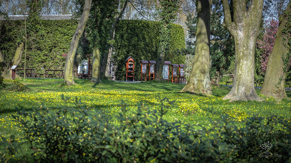 Widoki z parku w Dalkowie.