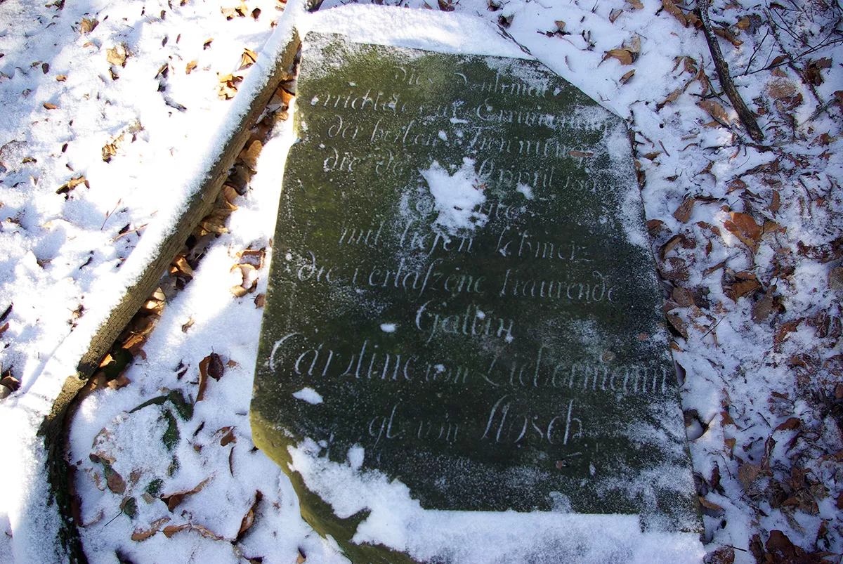 elementy pomnika Caroline von Liebermann