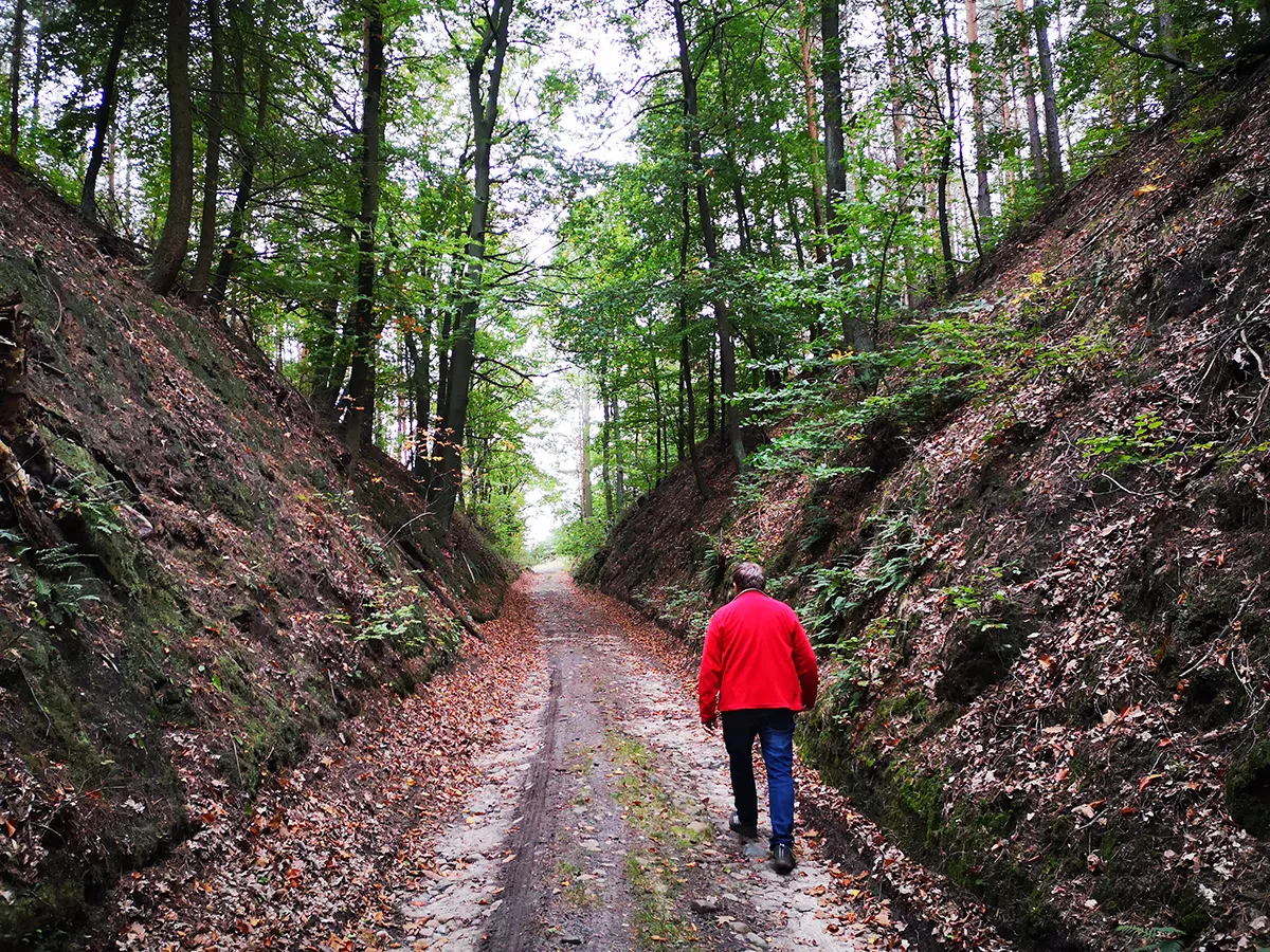 szlaki w Rezerwacie Przyrody Annabrzeskie Wąwozy