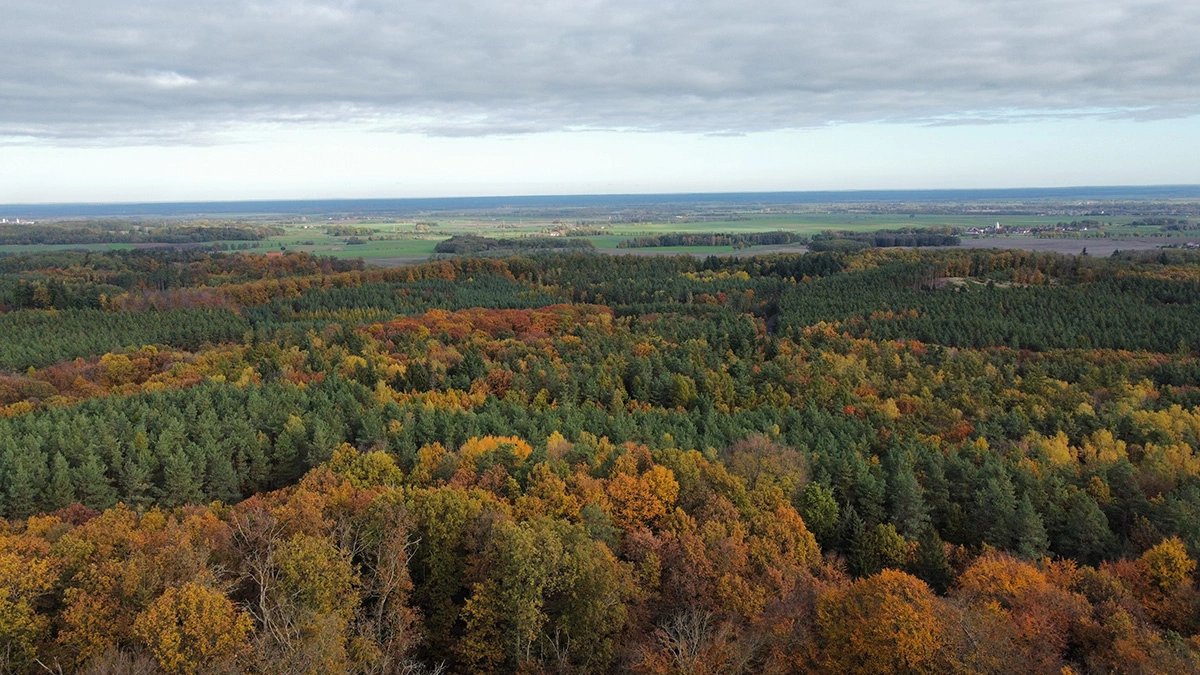 Wzgórza Dalkowskie jesienny krajobraz z lotu ptaka