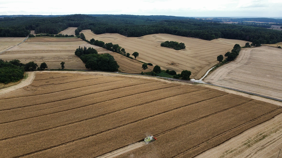 Wzgórza Dalkowskie żniwa z lotu ptaka