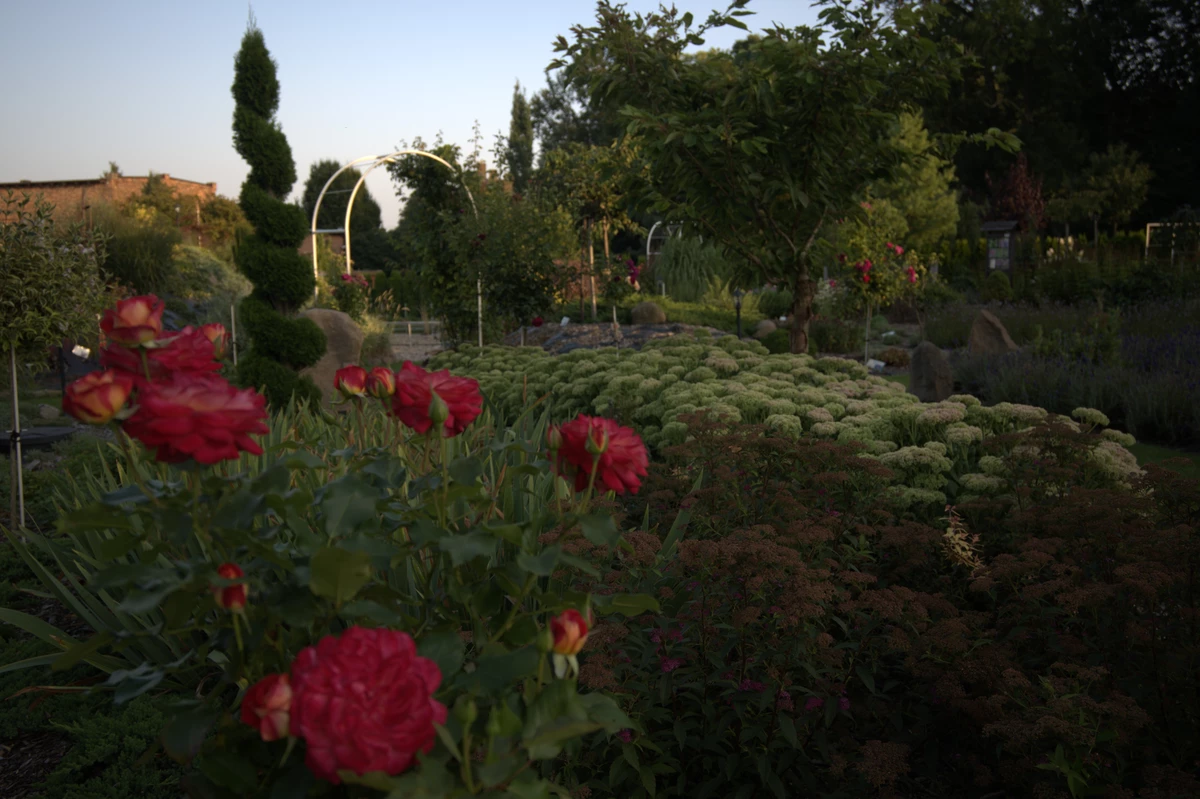 Wygląd Centrum Hortiterapii w sierpniu