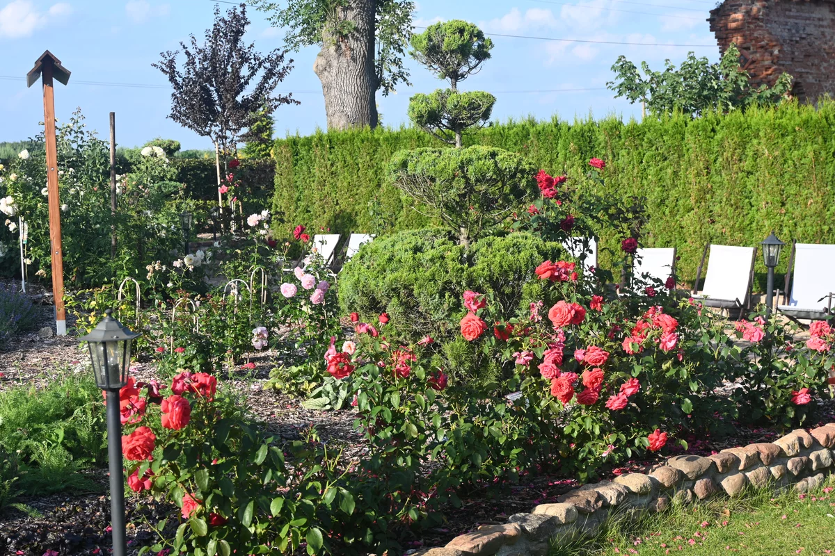 Wygląd Centrum Hortiterapii w sierpniu