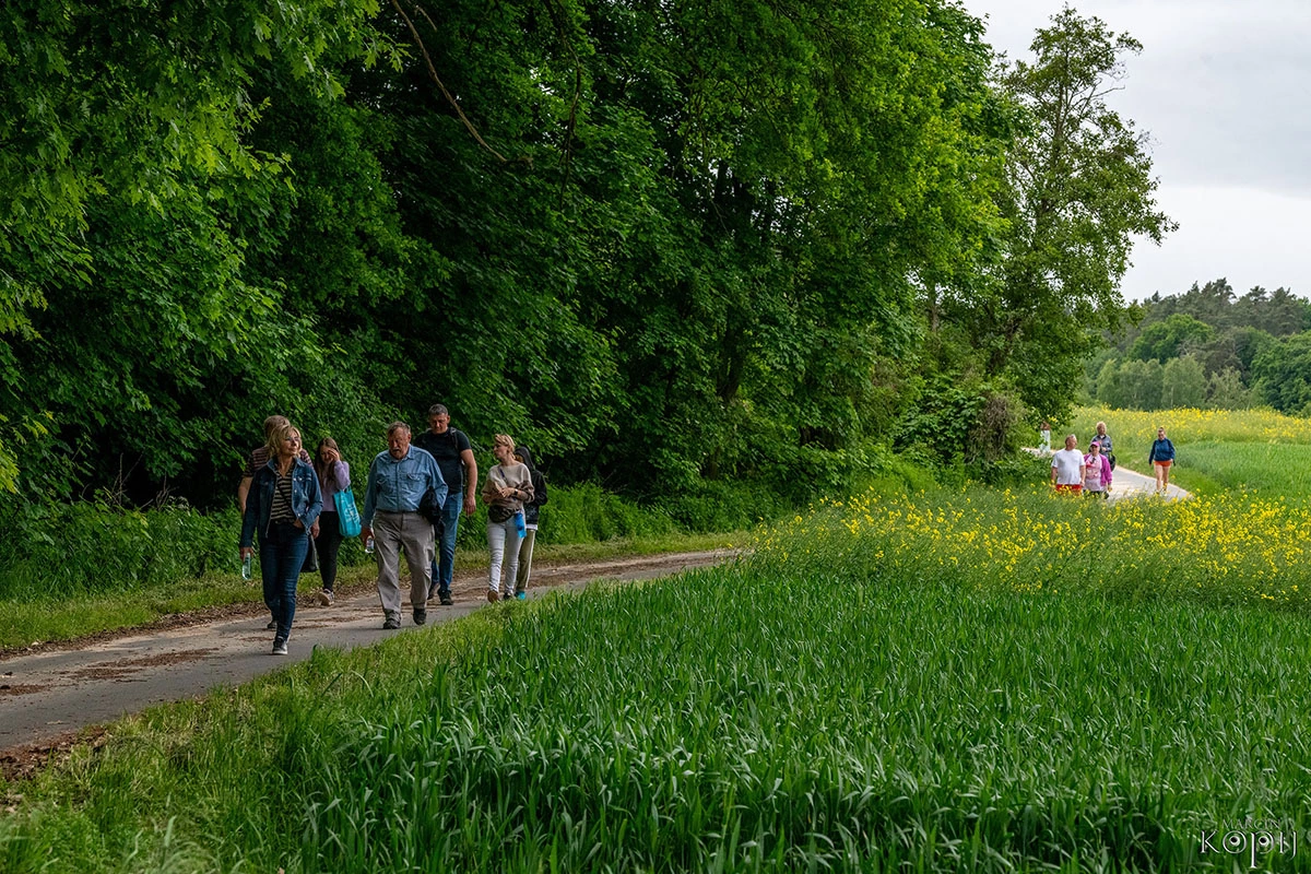 spacer z przewodnikiem po Wzgórzach Dalkowskich
