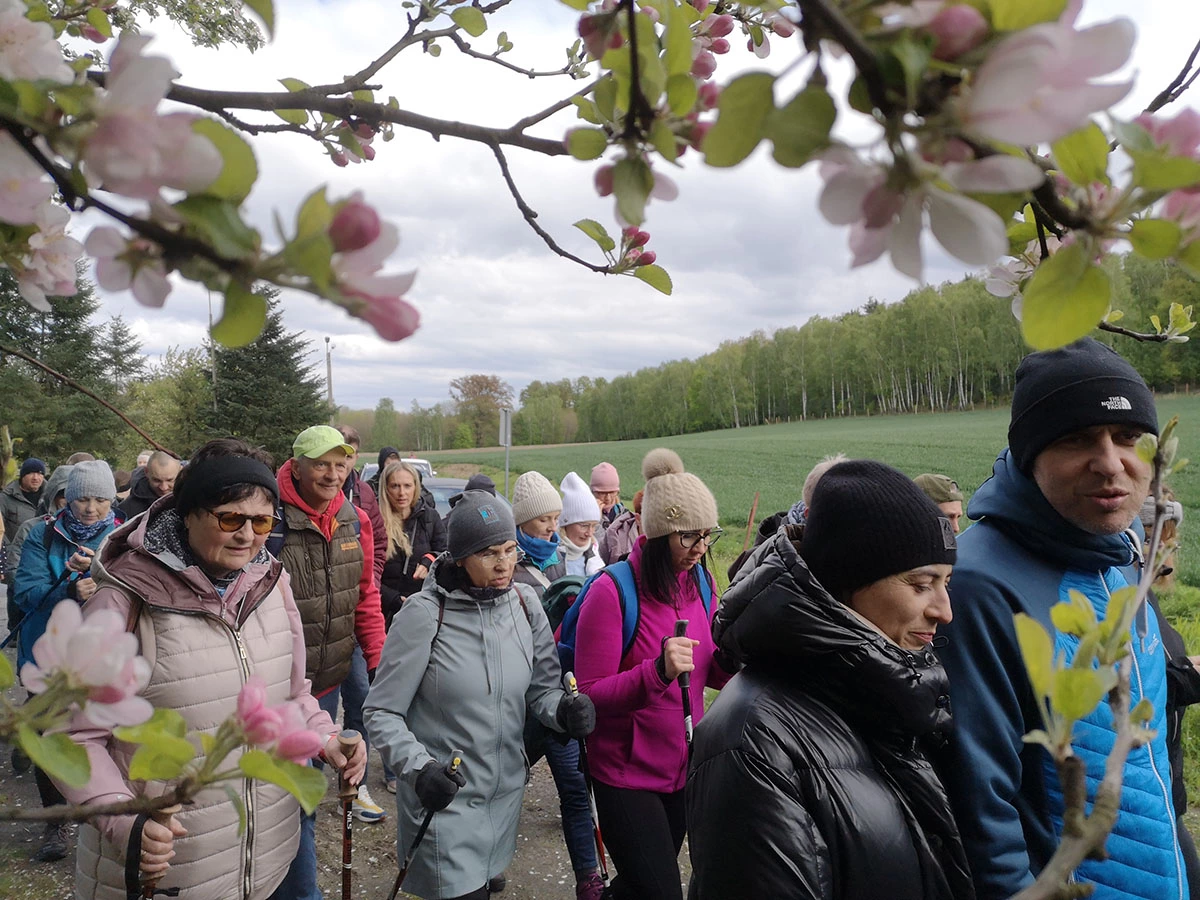 spacer z przewodnikiem po Wzgórzach Dalkowskich