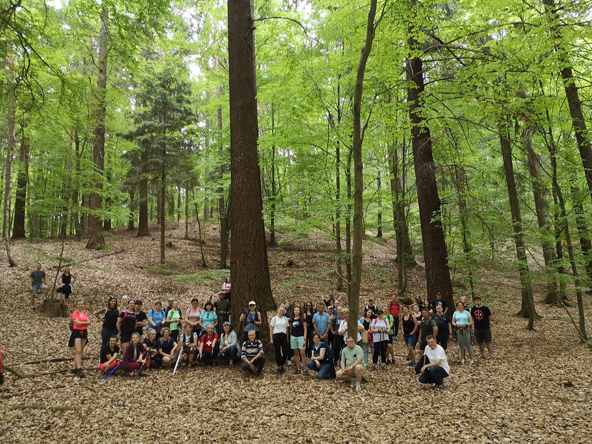 spacer z przewodnikiem po Wzgórzach Dalkowskich