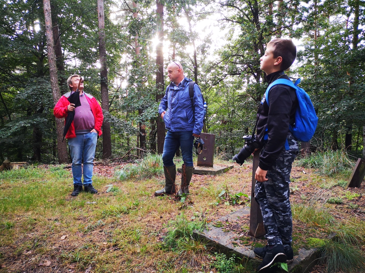 Wieża na Wzgórzach Dalkowskich