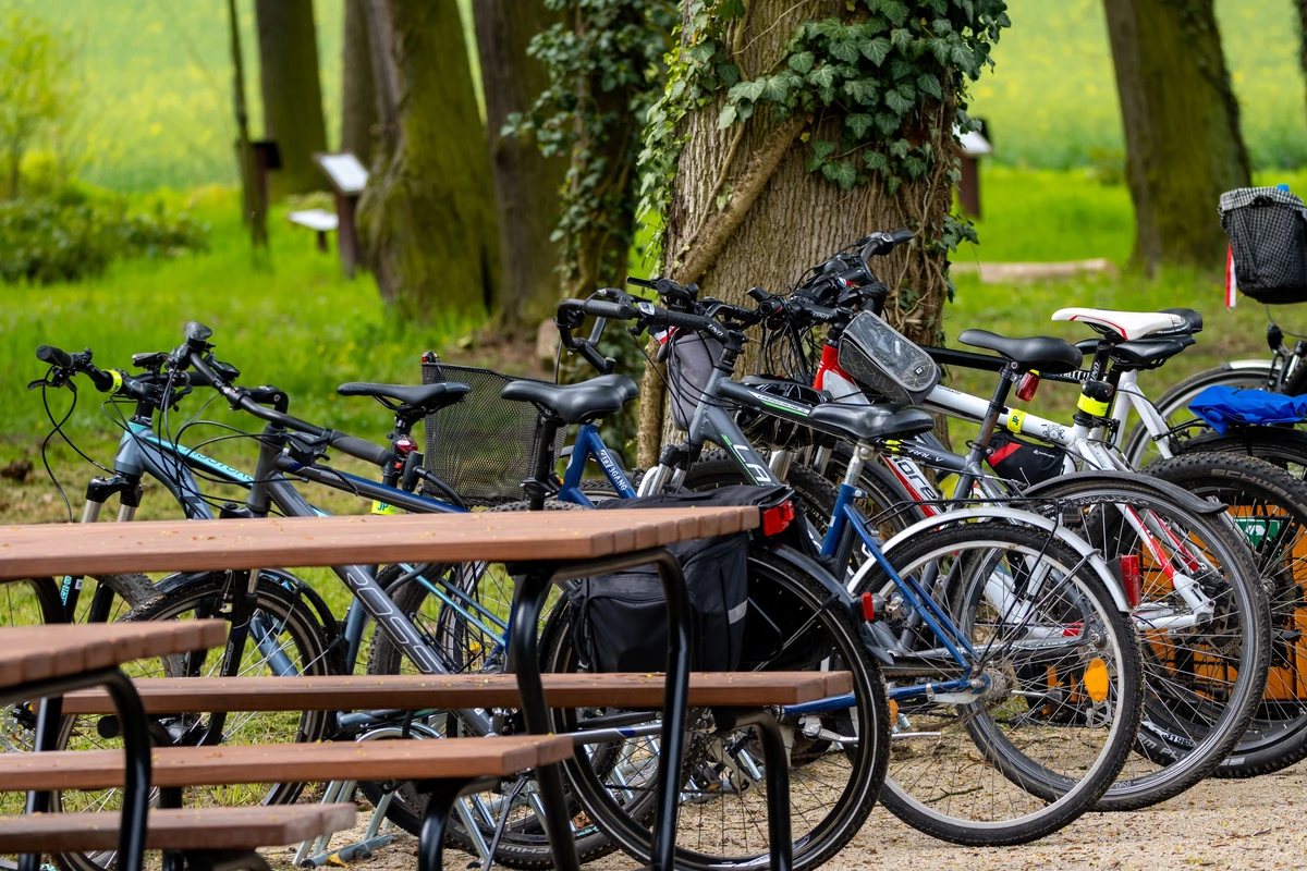 tablice na punkcie informacji turystycznej w Dalkowie