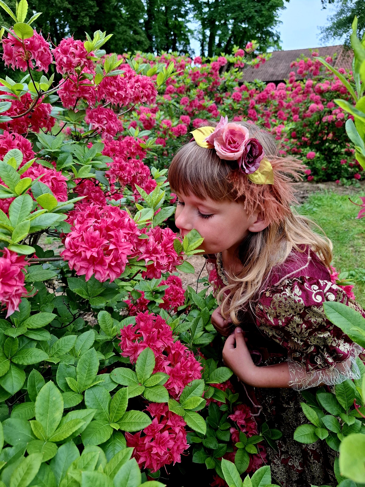 Stroje z epoki w Dalkowskim Parku